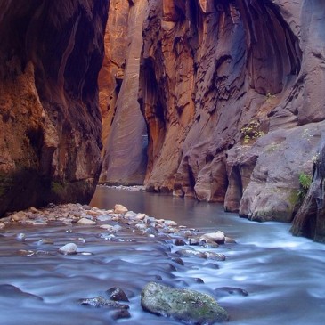 #17 Go Canyoning in Zion National Park